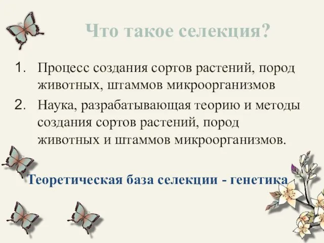 Что такое селекция? Процесс создания сортов растений, пород животных, штаммов микроорганизмов