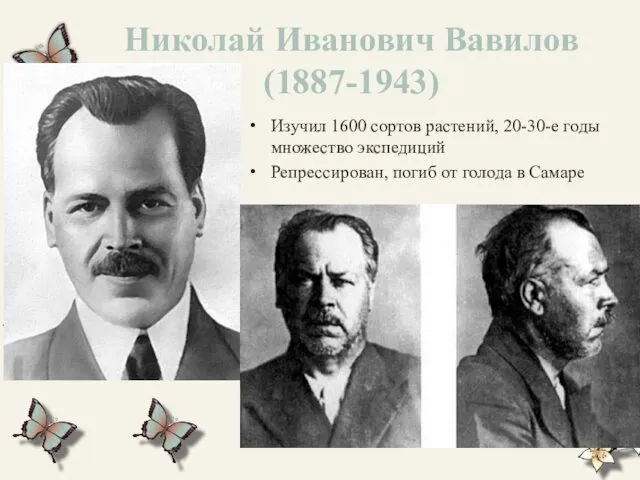 Николай Иванович Вавилов (1887-1943) Изучил 1600 сортов растений, 20-30-е годы множество