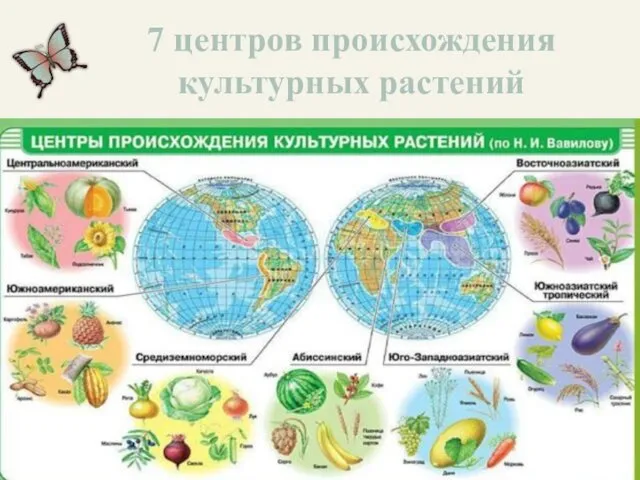 7 центров происхождения культурных растений