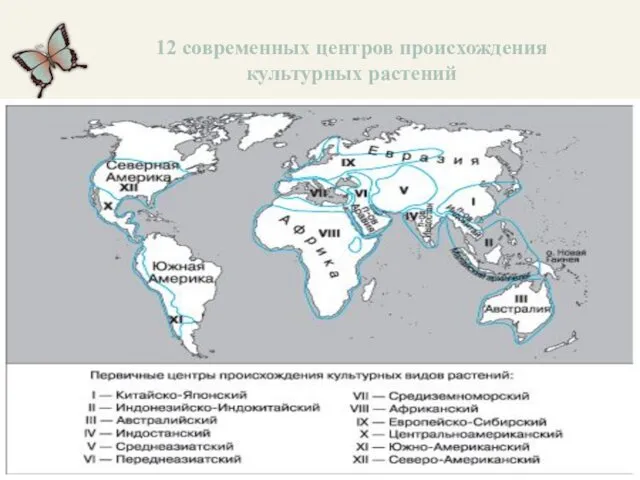 12 современных центров происхождения культурных растений