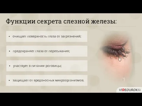 Функции секрета слезной железы: очищает поверхность глаза от загрязнений; предохраняет глаза