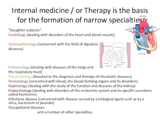 Internal medicine / or Therapy is the basis for the formation