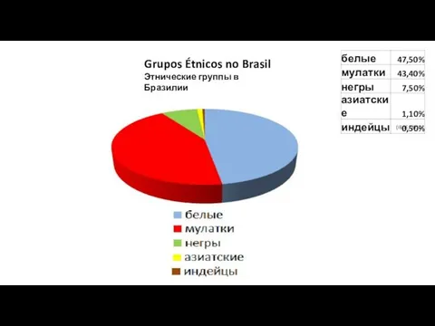 Grupos Étnicos no Brasil Этнические группы в Бразилии (IBGE, 2010)