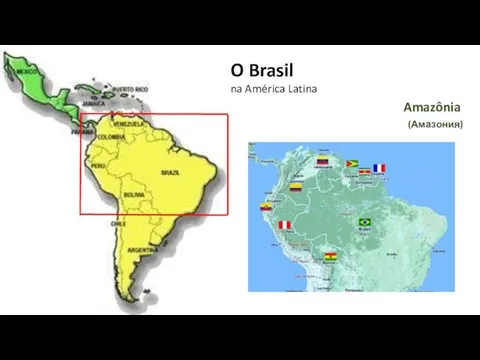 O Brasil na América Latina Amazônia (Амазония)