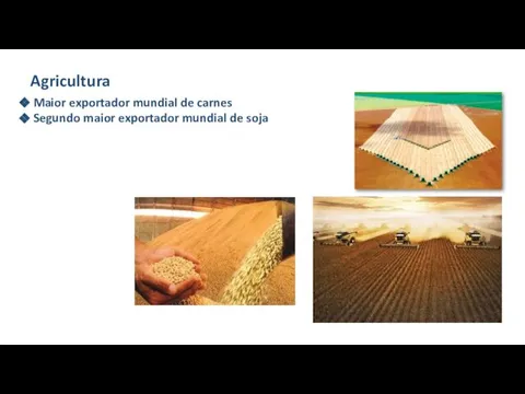 Agricultura Maior exportador mundial de carnes Segundo maior exportador mundial de soja