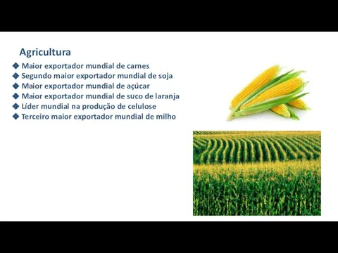 Agricultura Maior exportador mundial de carnes Segundo maior exportador mundial de