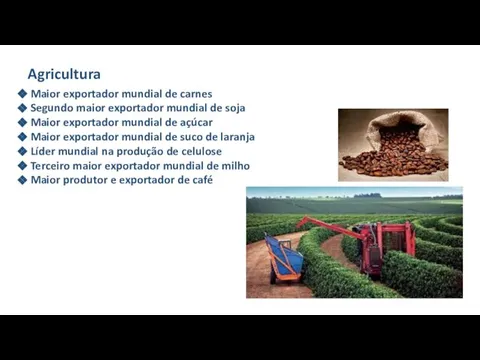 Agricultura Maior exportador mundial de carnes Segundo maior exportador mundial de