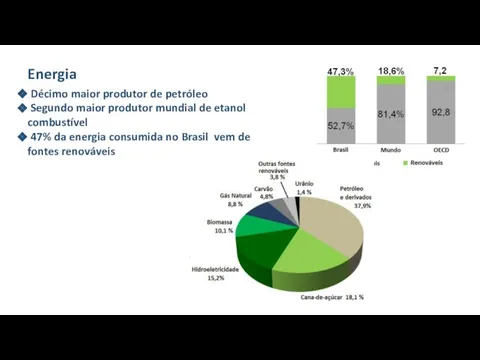 Energia Décimo maior produtor de petróleo Segundo maior produtor mundial de