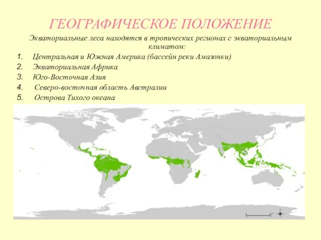 ГЕОГРАФИЧЕСКОЕ ПОЛОЖЕНИЕ Экваториальные леса находятся в тропических регионах с экваториальным климатом: