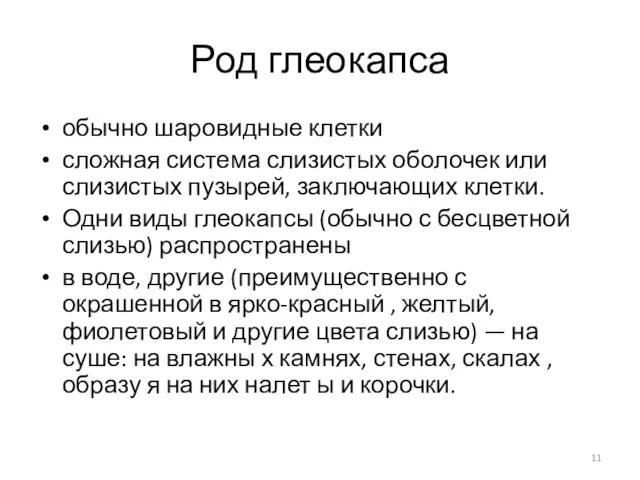 Род глеокапса обычно шаровидные клетки сложная система слизистых оболочек или слизистых