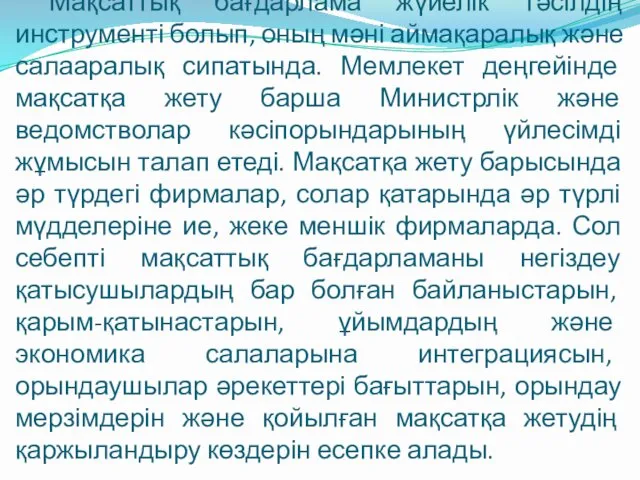 Мақсаттық бағдарлама жүйелік тәсілдің инструменті болып, оның мәні аймақаралық және салааралық