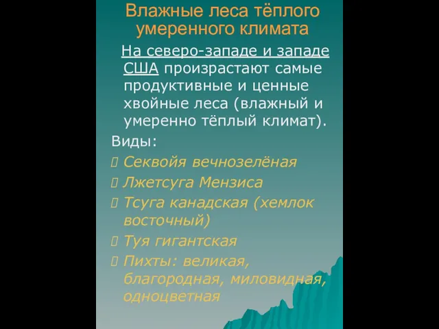 На северо-западе и западе США произрастают самые продуктивные и ценные хвойные