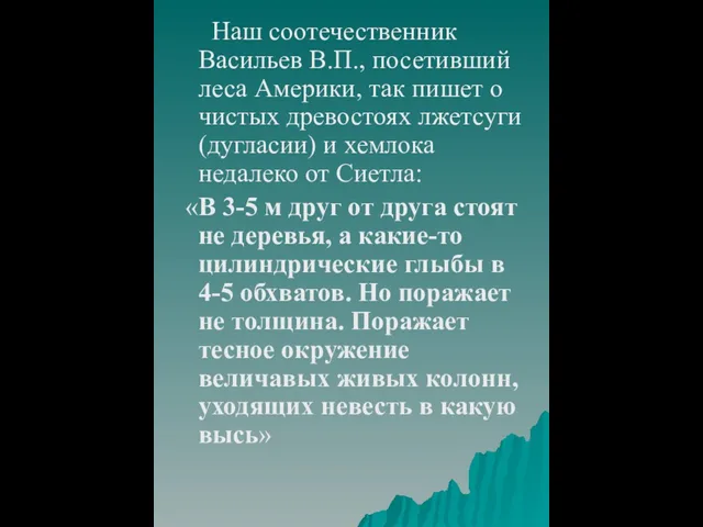 Наш соотечественник Васильев В.П., посетивший леса Америки, так пишет о чистых