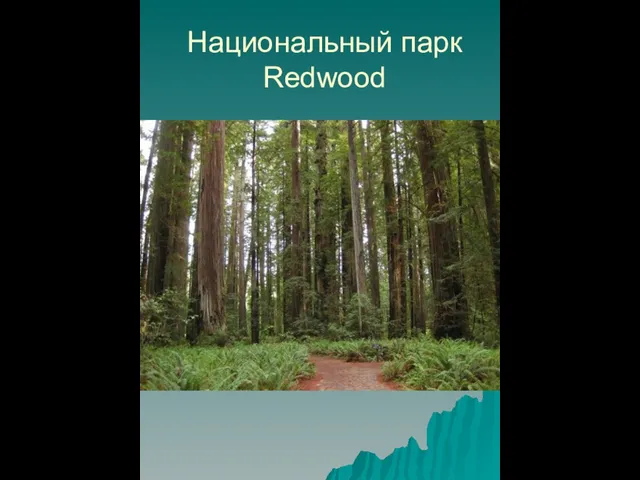 Национальный парк Redwood