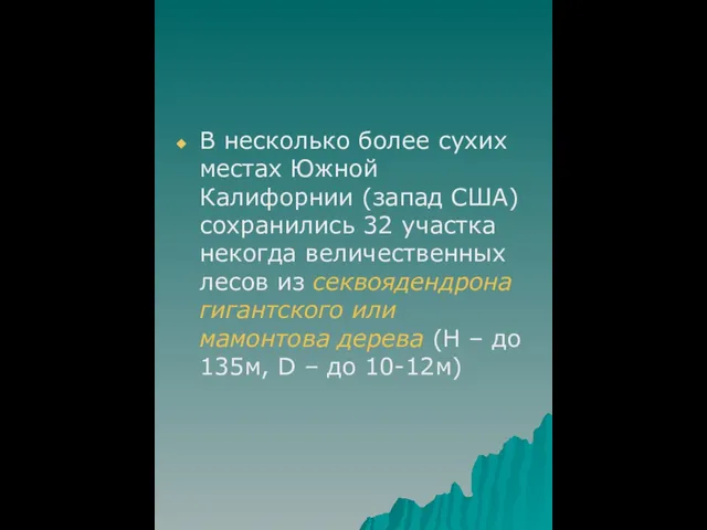 В несколько более сухих местах Южной Калифорнии (запад США) сохранились 32