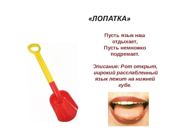 «ЛОПАТКА» Пусть язык наш отдыхает, Пусть немножко подремает. Описание: Рот открыт,