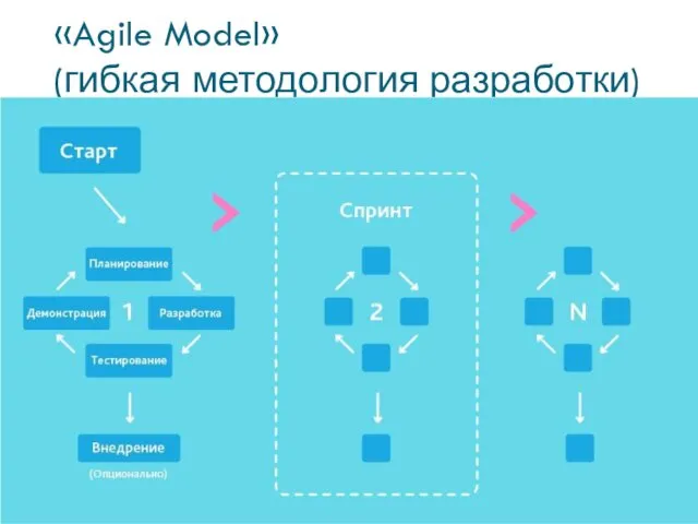 «Agile Model» (гибкая методология разработки)