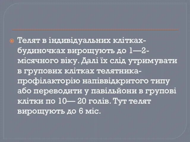 Телят в індивідуальних клітках-будиночках вирощують до 1—2-місячного віку. Далі їх слід