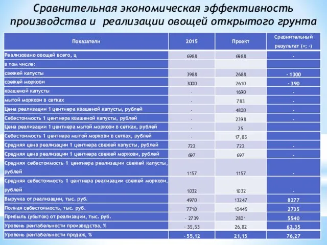 Сравнительная экономическая эффективность производства и реализации овощей открытого грунта