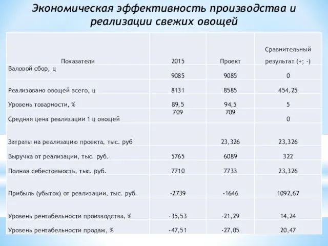 Экономическая эффективность производства и реализации свежих овощей