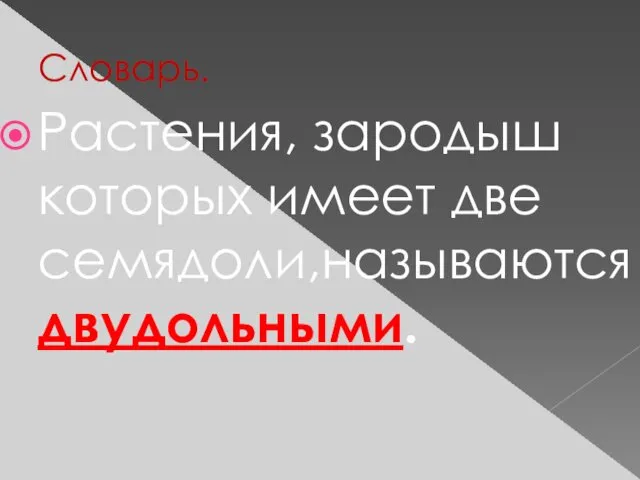 Словарь. Растения, зародыш которых имеет две семядоли,называются двудольными.