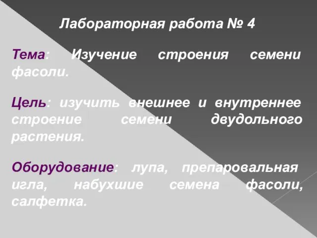 Лабораторная работа № 4 Тема: Изучение строения семени фасоли. Цель: изучить