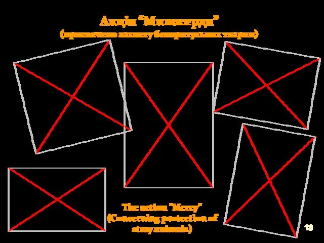 Акція “Милосердя” (присвячено захисту безпритульних тварин) The action "Mercy" (Concerning protection of stray animals)