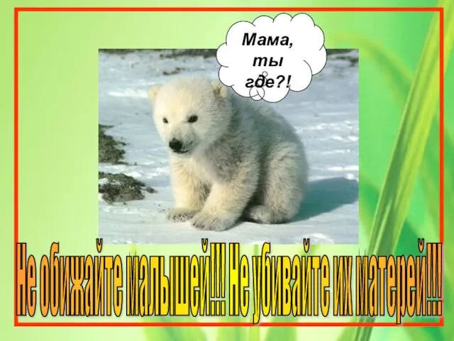 Мама, ты где?! Не обижайте малышей!!! Не убивайте их матерей!!!