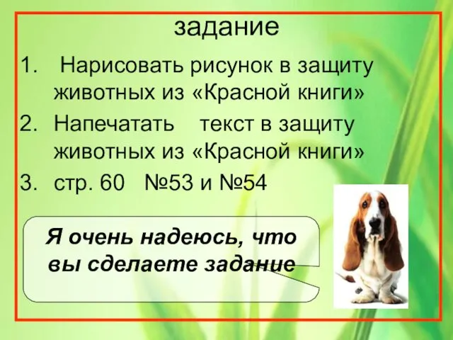 задание Нарисовать рисунок в защиту животных из «Красной книги» Напечатать текст