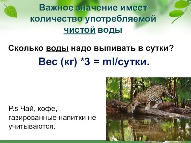 Важное значение имеет количество употребляемой чистой воды Сколько воды надо выпивать