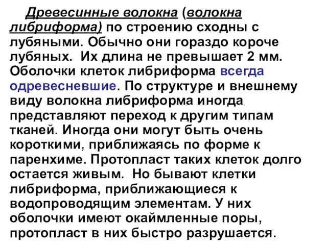 Древесинные волокна (волокна либриформа) по строению сходны с лубяными. Обычно они