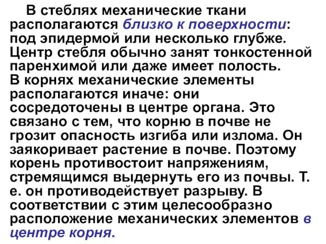 В стеблях механические ткани располагаются близко к поверхности: под эпидермой или