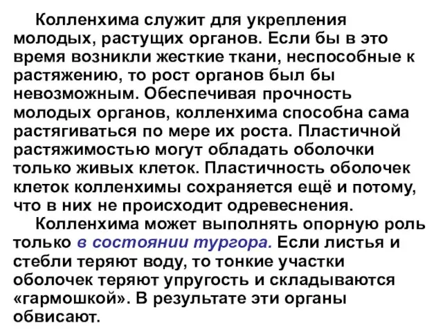 Колленхима служит для укрепления молодых, растущих органов. Если бы в это