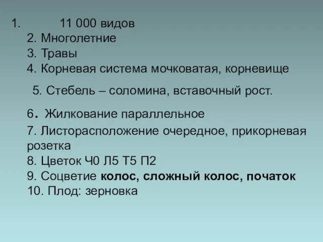 1. 11 000 видов 2. Многолетние 3. Травы 4. Корневая система