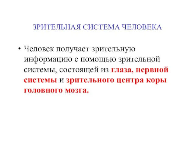 ЗРИТЕЛЬНАЯ СИСТЕМА ЧЕЛОВЕКА Человек получает зрительную информацию с помощью зрительной системы,