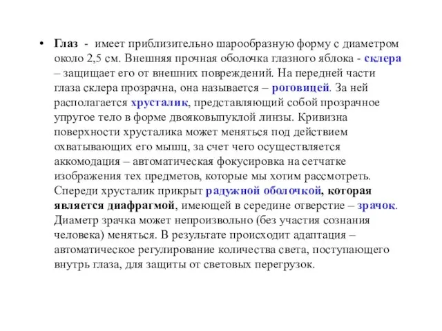 Глаз - имеет приблизительно шарообразную форму с диаметром около 2,5 см.