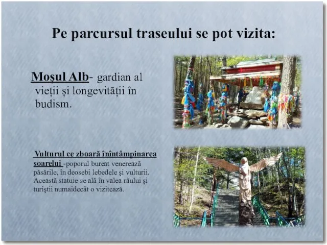 Pe parcursul traseului se pot vizita: Moșul Alb- gardian al vieții