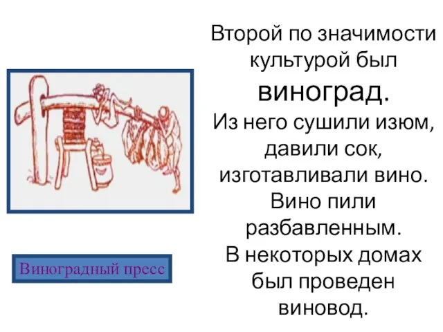 Виноградный пресс Второй по значимости культурой был виноград. Из него сушили