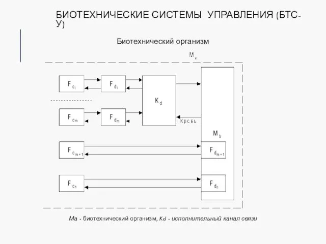 БИОТЕХНИЧЕСКИЕ СИСТЕМЫ УПРАВЛЕНИЯ (БТС-У) Биотехнический организм Ма - биотехнический организм, Kd - исполнительный канал связи