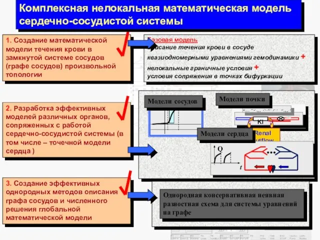 Комплексная нелокальная математическая модель сердечно-сосудистой системы Базовая модель описание течения крови