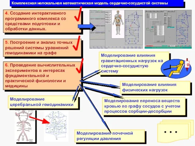 Комплексная нелокальная математическая модель сердечно-сосудистой системы 6. Проведение вычислительных экспериментов в