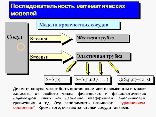 Последовательность математических моделей Модели кровеносных сосудов Сосуд Жесткая трубка Эластичная трубка