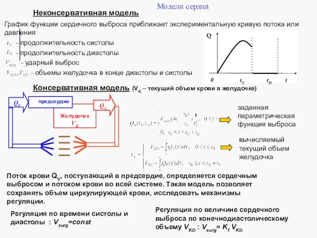 Модели сердца Неконсервативная модель График функции сердечного выброса приближает экспериментальную кривую