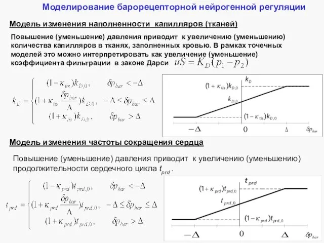 Моделирование барорецепторной нейрогенной регуляции Модель изменения наполненности капилляров (тканей) Повышение (уменьшение)