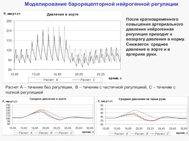 Моделирование барорецепторной нейрогенной регуляции После кратковременного повышения артериального давления нейрогенная регуляция