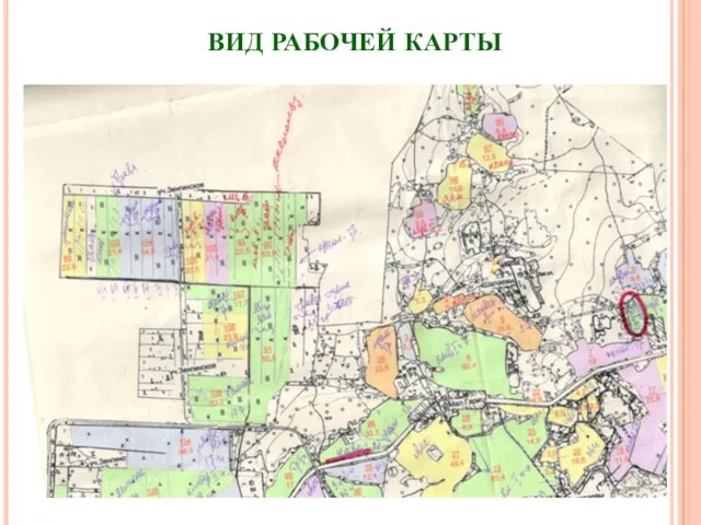 ВИД РАБОЧЕЙ КАРТЫ