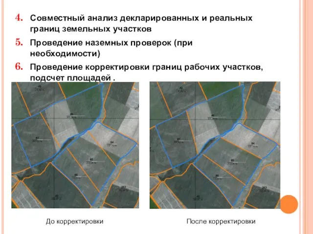 Совместный анализ декларированных и реальных границ земельных участков Проведение наземных проверок