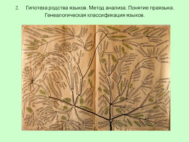 2. Гипотеза родства языков. Метод анализа. Понятие праязыка. Генеалогическая классификация языков.