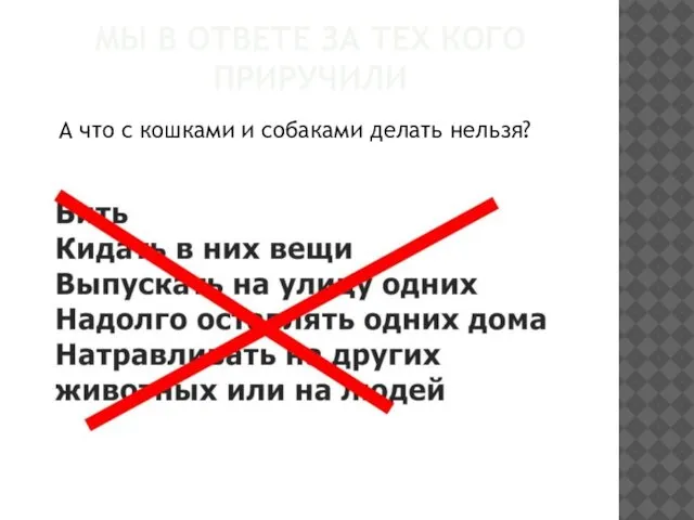 МЫ В ОТВЕТЕ ЗА ТЕХ КОГО ПРИРУЧИЛИ А что с кошками и собаками делать нельзя?