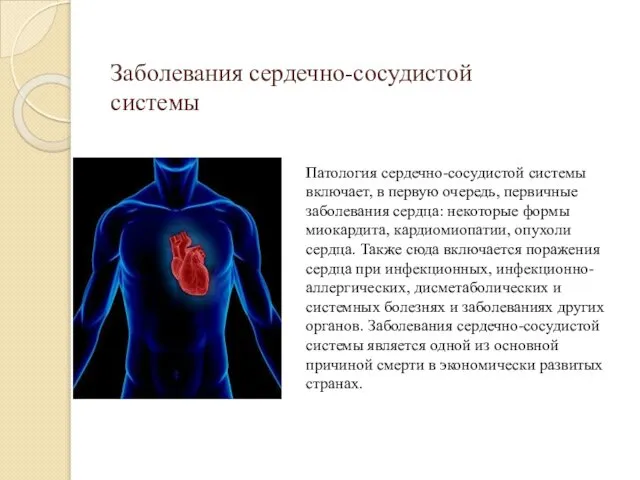 Заболевания сердечно-сосудистой системы Патология сердечно-сосудистой системы включает, в первую очередь, первичные